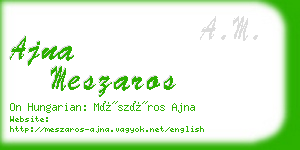 ajna meszaros business card